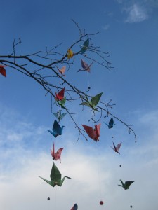 CoCamp Peace Cranes